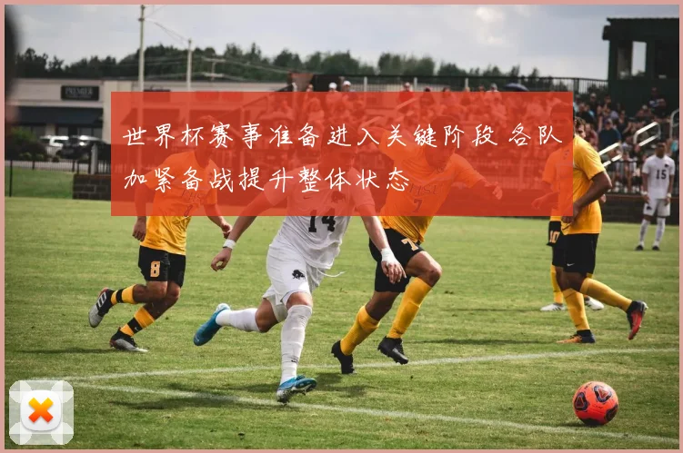 世界杯赛事准备进入关键阶段 各队加紧备战提升整体状态