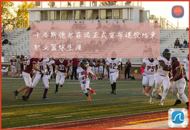 卡洛斯德尔菲诺正式宣布退役结束职业篮球生涯