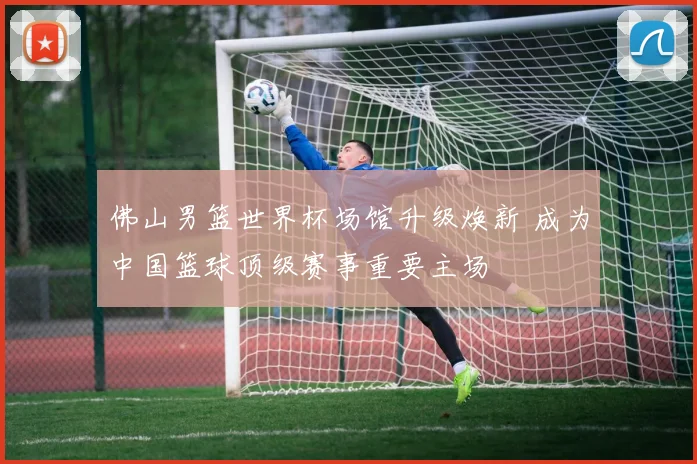 佛山男篮世界杯场馆升级焕新 成为中国篮球顶级赛事重要主场