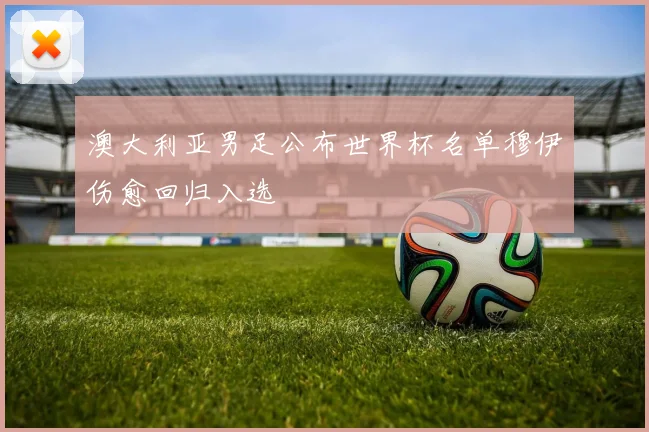 澳大利亚男足公布世界杯名单穆伊伤愈回归入选