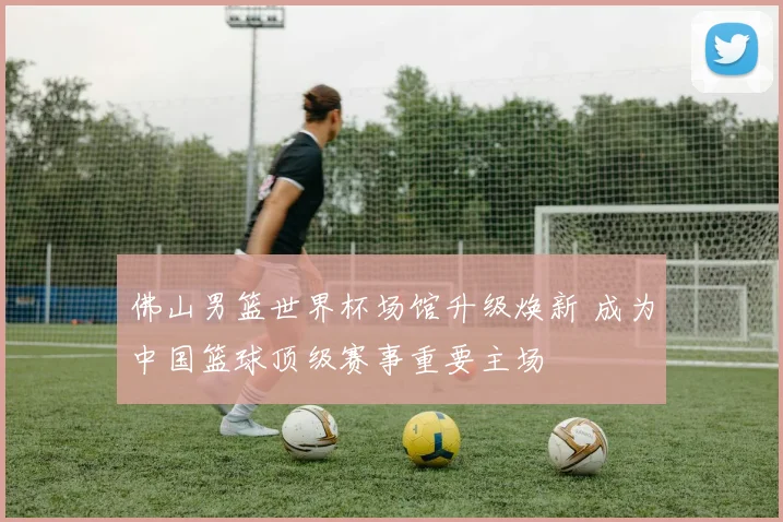 佛山男篮世界杯场馆升级焕新 成为中国篮球顶级赛事重要主场