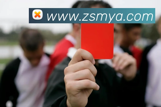 球友会在线登录APP 体育赛事宣传图